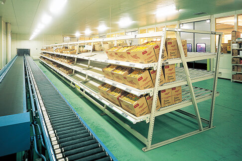 Case Flow Rack