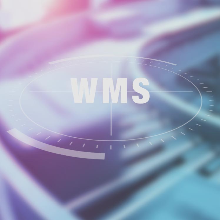 WMS（物流センター管理システム）